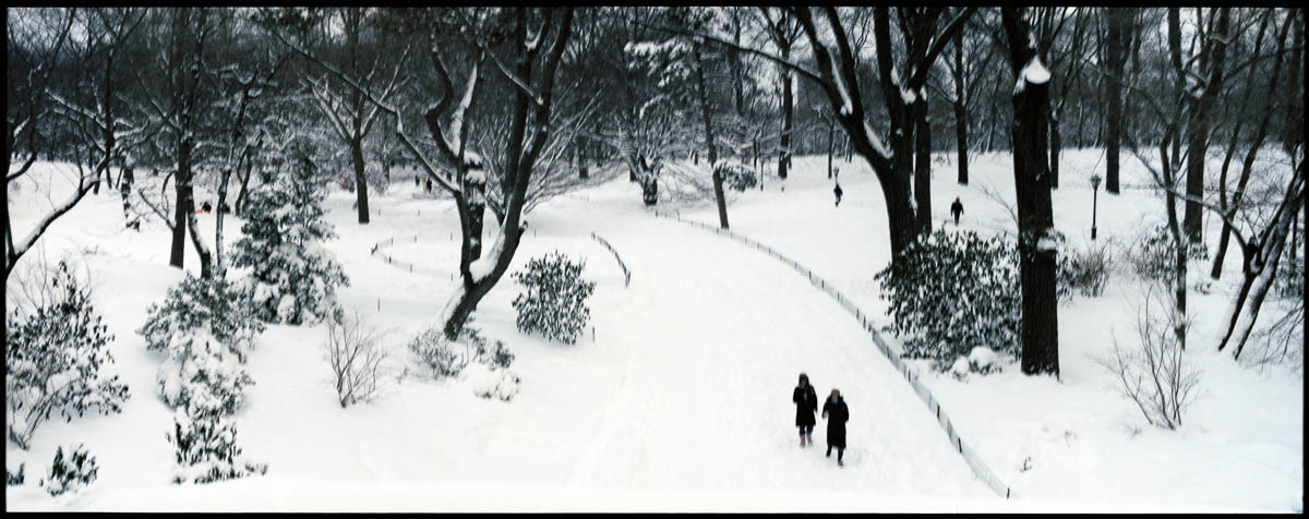 New York, Central Park, 2006/02/12