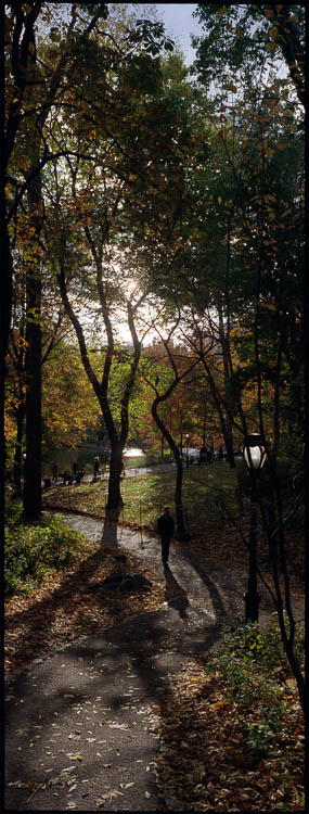 New York, Central Park, 2004/10/31